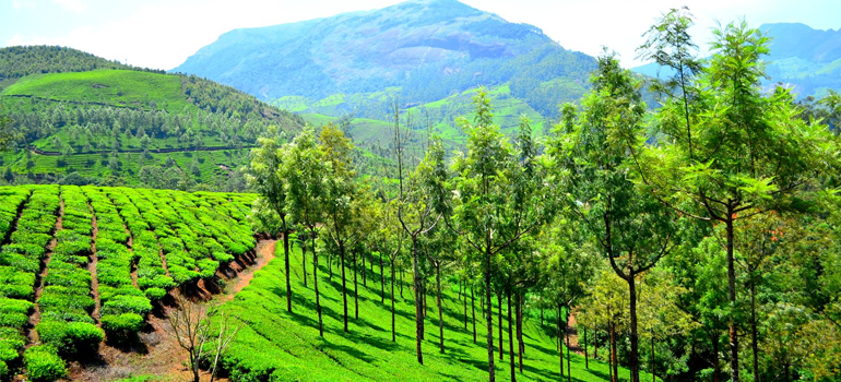 leisure tour packages from Tambaram