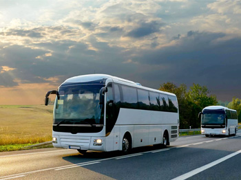 tourist bus rental in Tambaram